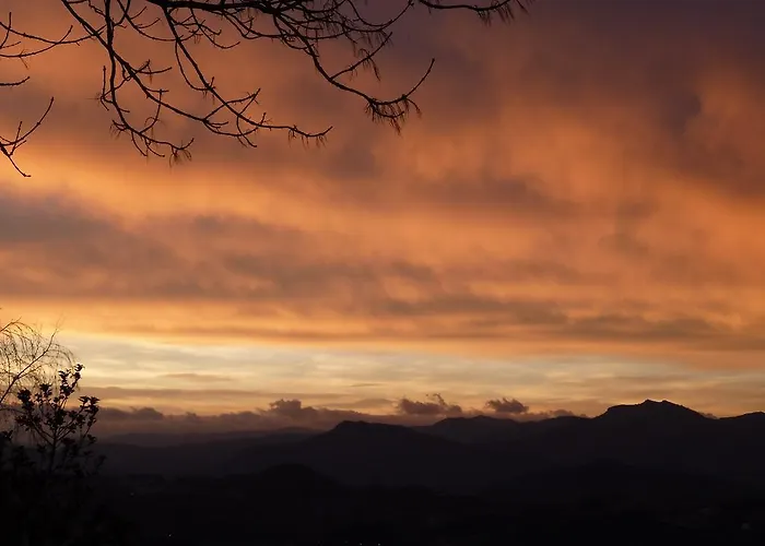 酒店 乐库埃德酒店