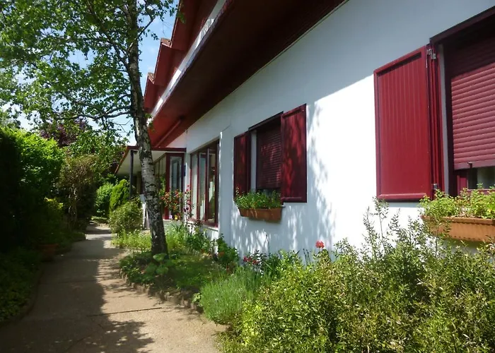 酒店 乐库埃德酒店